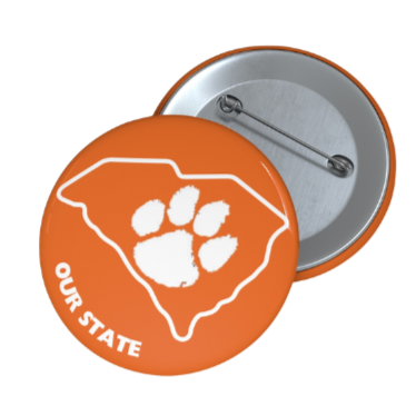 Our State Pin