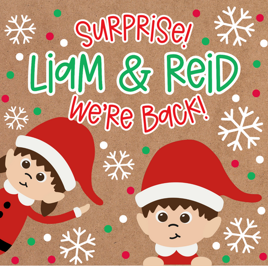 PREORDER ELF ON THE SHELF BANNER!!!